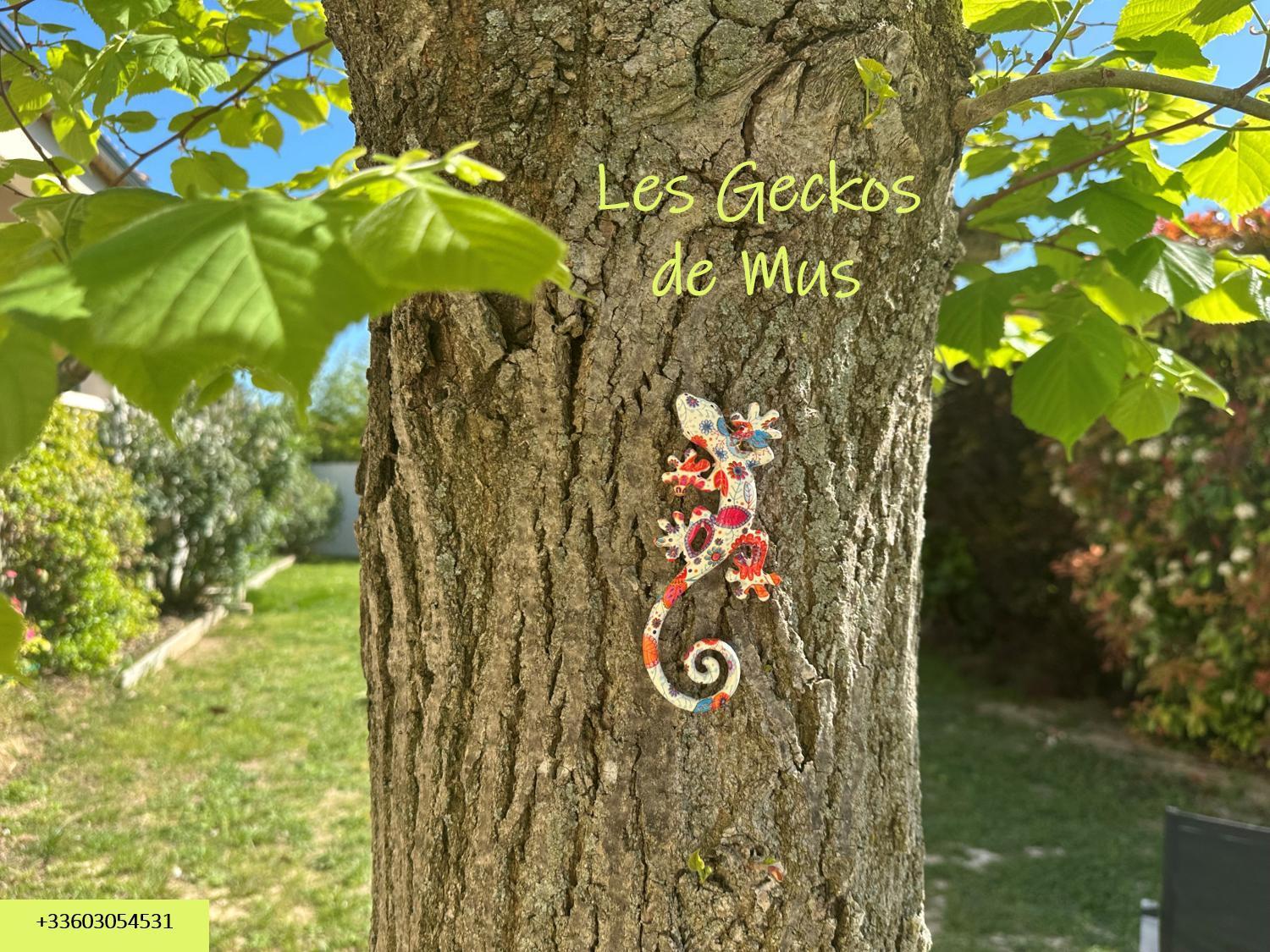 Les Geckos De Mus Lejlighed Eksteriør billede